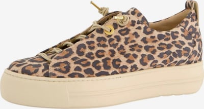 Paul Green Niske tenisice 'Pauls' u bež / svijetlosmeđa / tamno smeđa, Pregled proizvoda