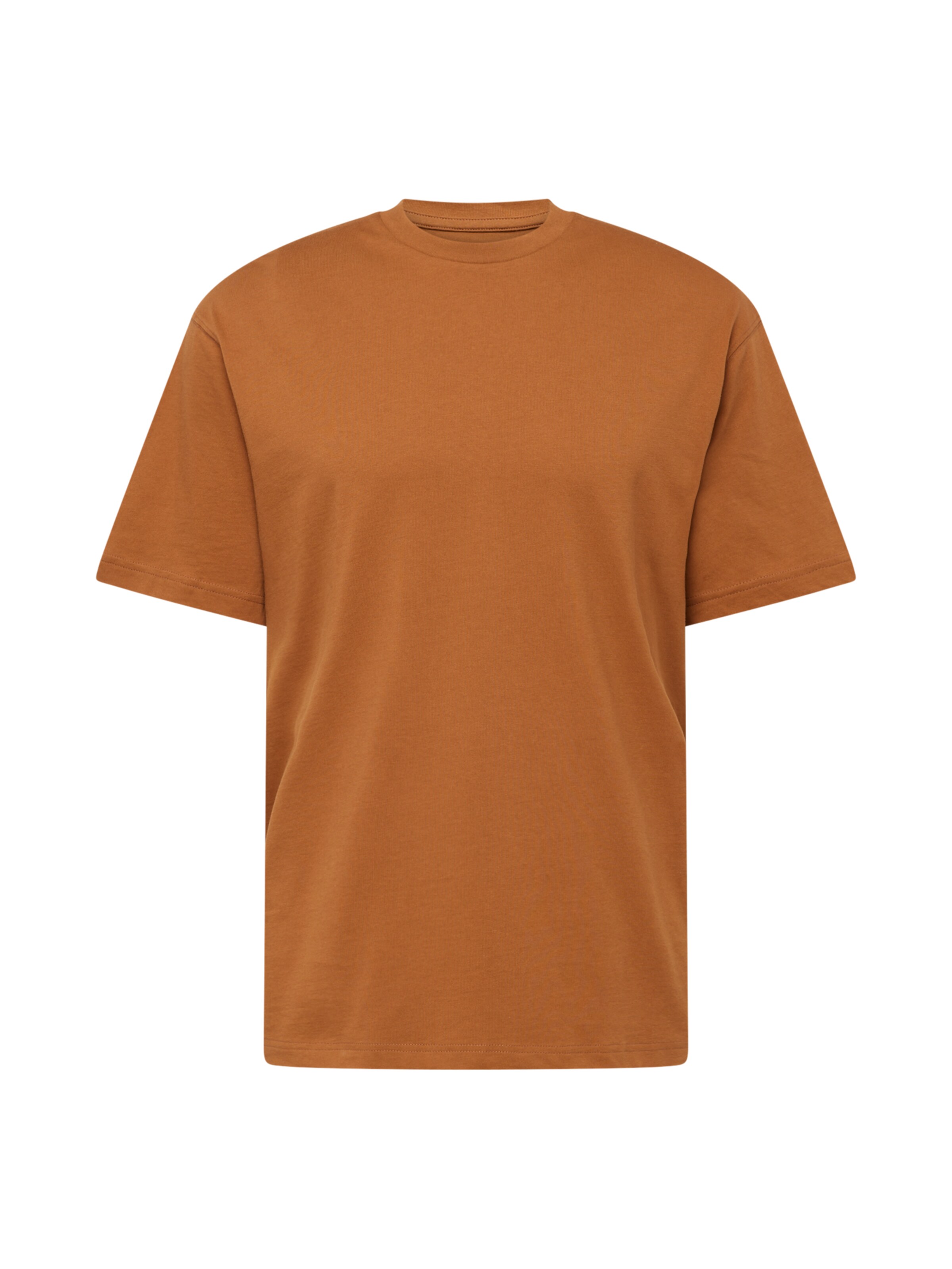 Lee Shirt 'PLAIN LOOSE TEE' in Brown: front