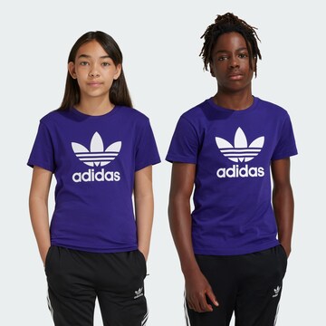T-Shirt 'Trefoil' ADIDAS ORIGINALS en violet : devant