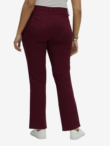 SHEEGO Regular Pants in Red