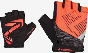 ZIENER Athletic Gloves in Mixed colors: front