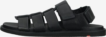 LLOYD Sandals 'Elimar' in Black