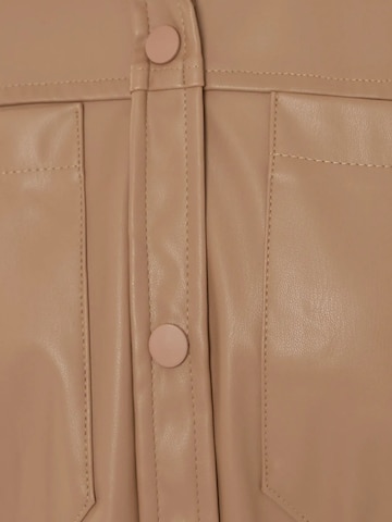 Hiccup Blouse in Brown