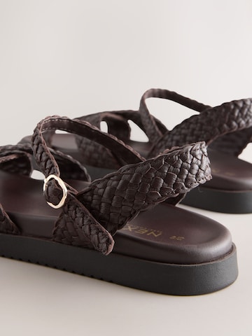 Next Sandal in Brown