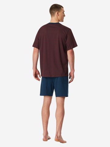 SCHIESSER Short Pajamas 'Comfort Essentials' in Red