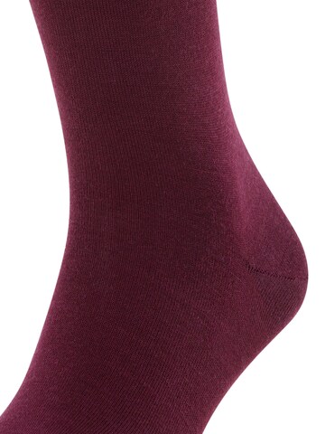 FALKE Knee High Socks 'Airport' in Red
