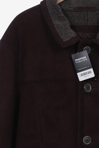 Commander Jacket & Coat in M-L in Brown