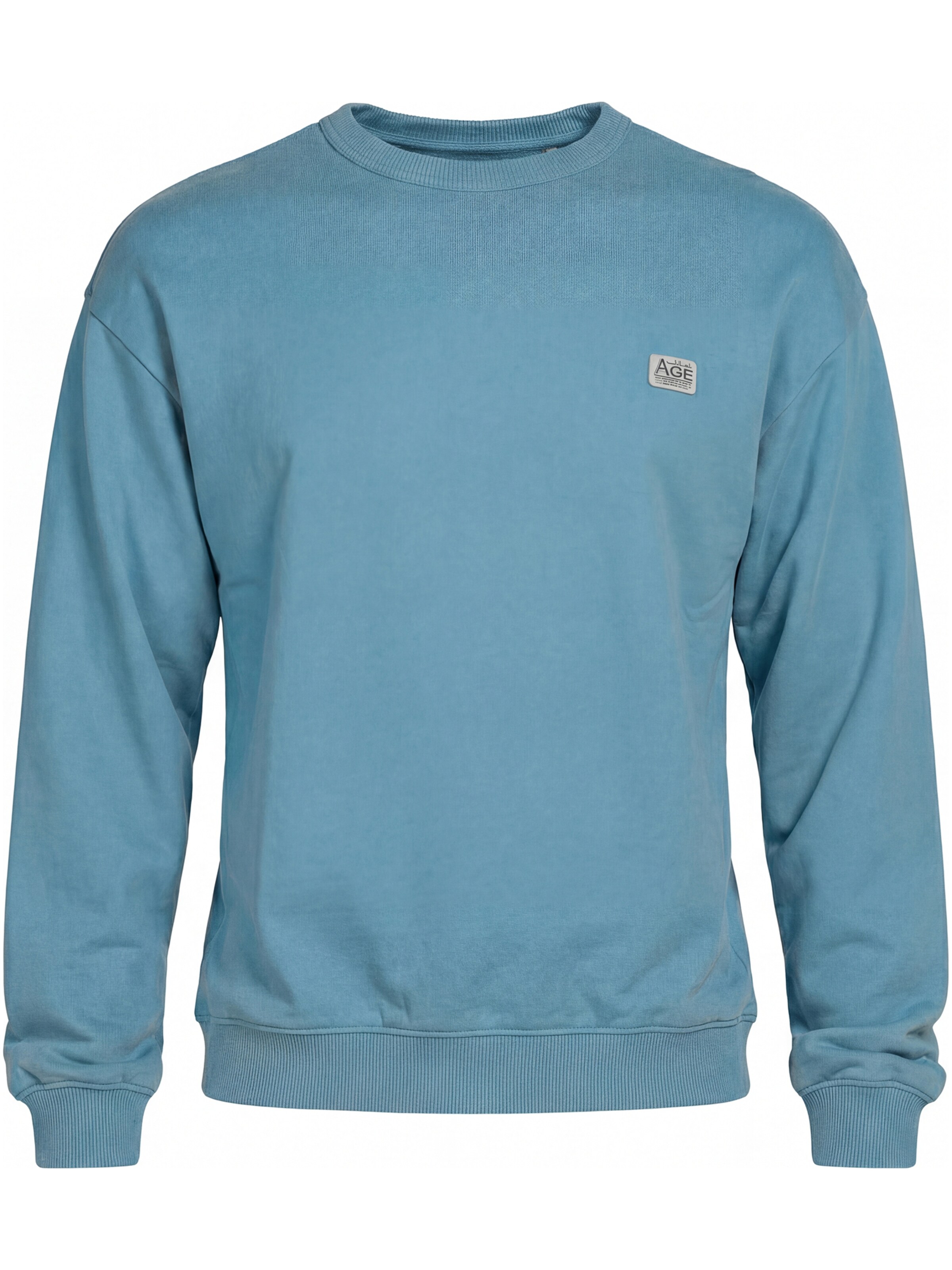 Carrera Jeans Sweatshirt 'Replica Boxy'‌‌‌‌‌‌‌‌‌ in Blau: Vorderseite