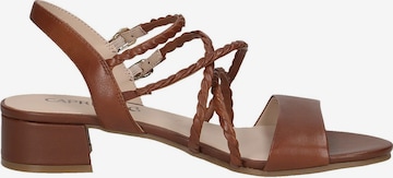CAPRICE Sandals in Brown