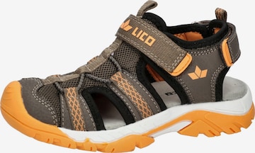 LICO Open shoes 'Alcoy' in Brown: front