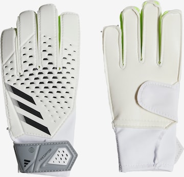 ADIDAS PERFORMANCE Athletic Gloves 'Predator'' in White: front