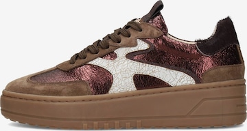 Baskets basses 'Aurelie' Haboob en marron : devant