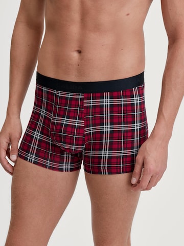 Boxer 'Family & Friends' di CALIDA in rosso
