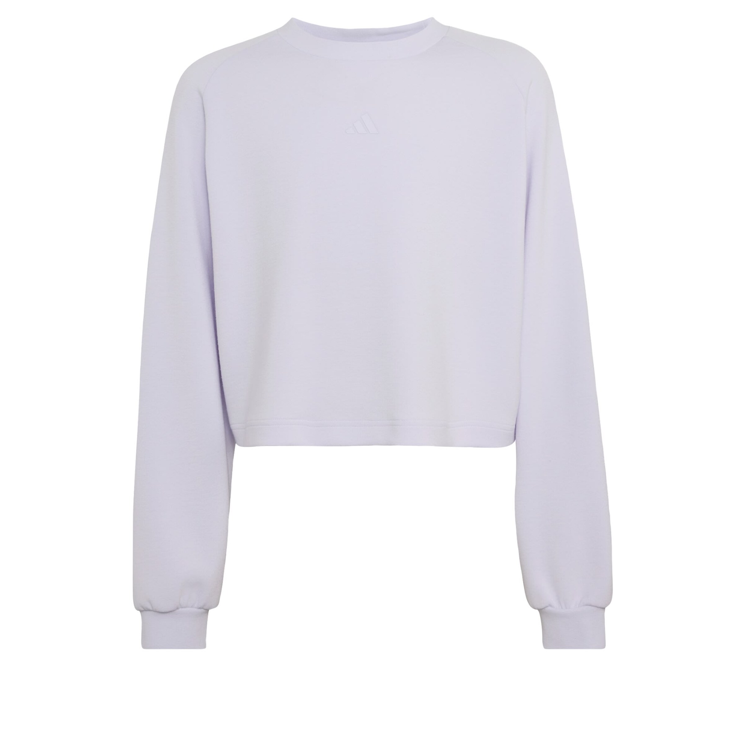 ADIDAS SPORTSWEAR - Sweatshirt de desporto em roxo: frente