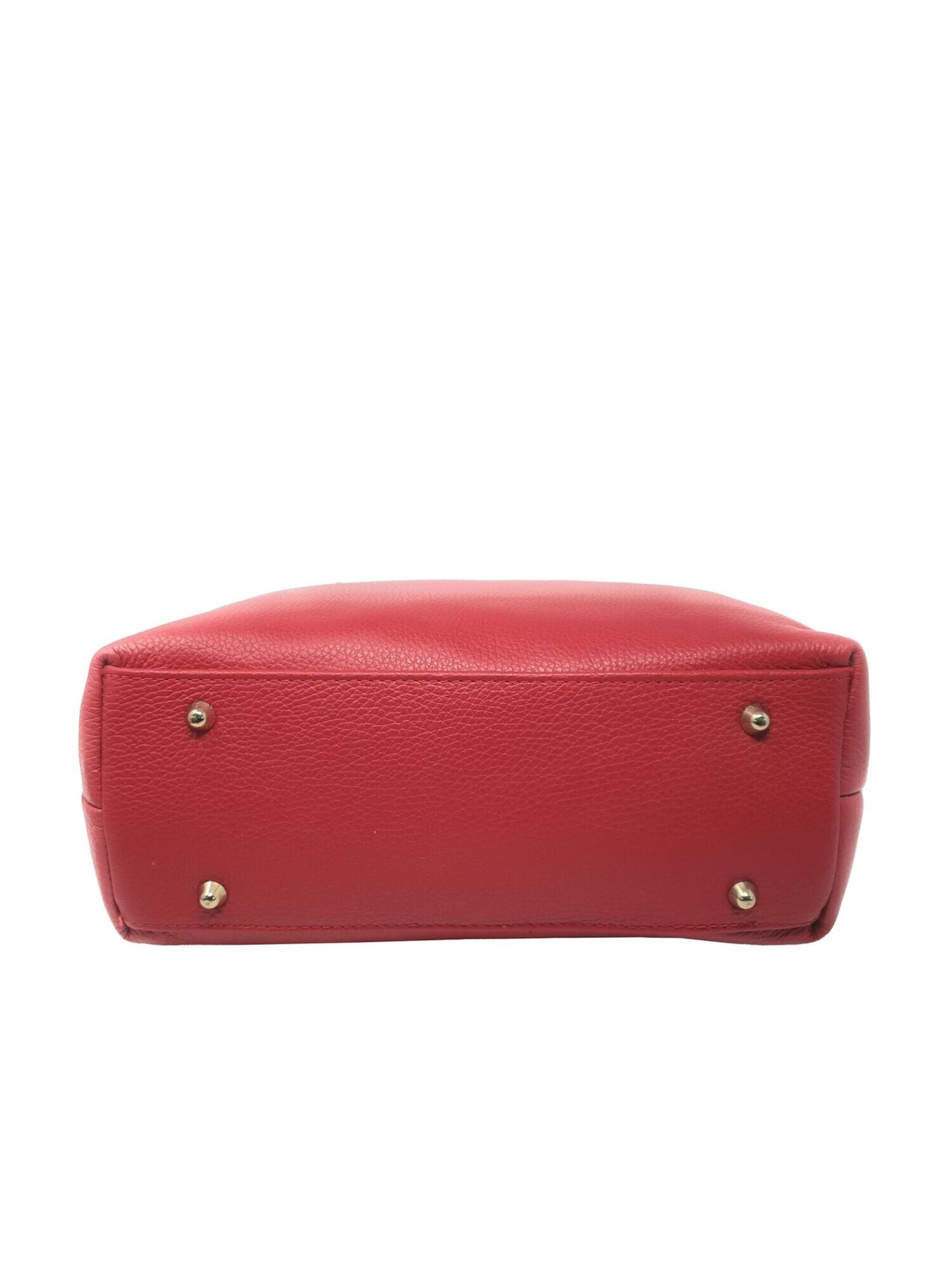 CHICCA BORSE Handbag in Red