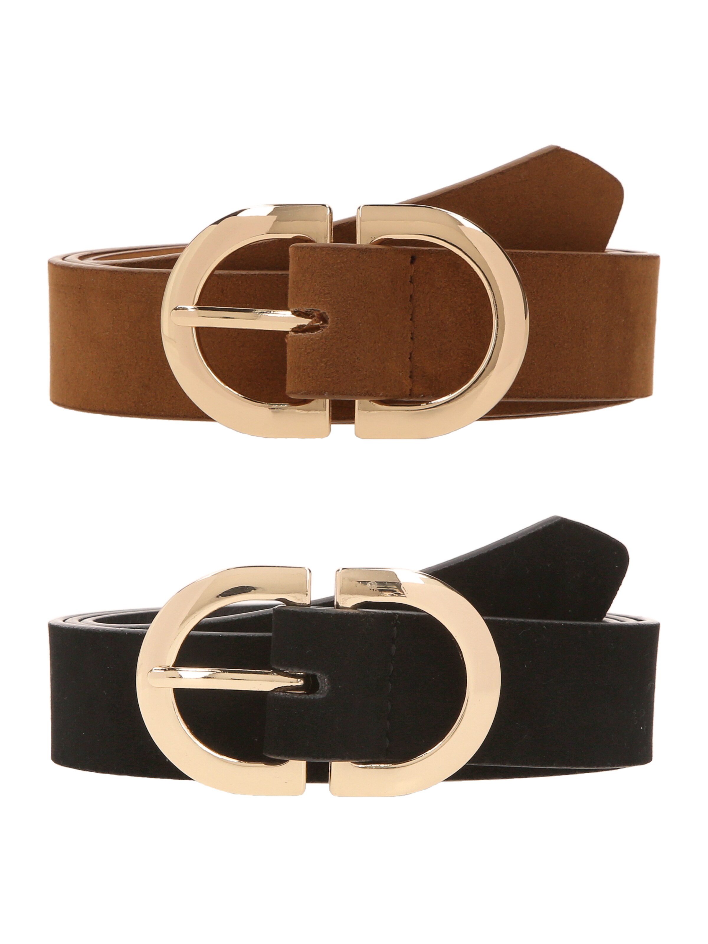 studioselect Pas | rjava barva: sprednja stran