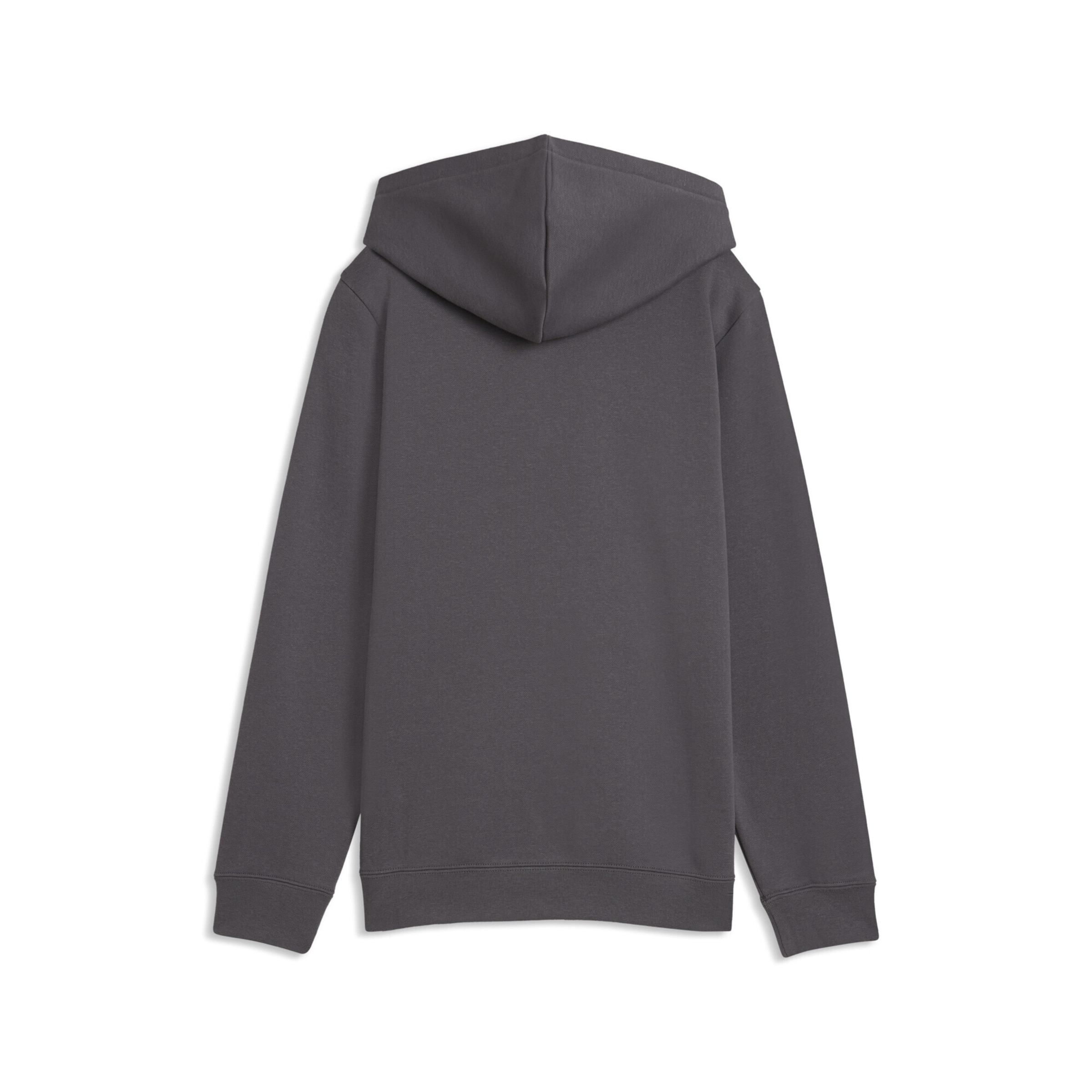 PUMA Sweatshirt 'Essentials Elevated' in Grey