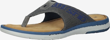 SALAMANDER T-Bar Sandals in Grey: front