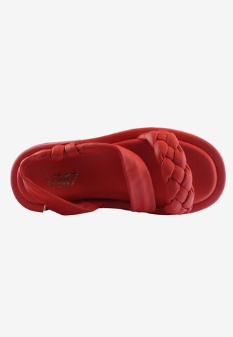 D.MoRo Shoes Sandals in Red