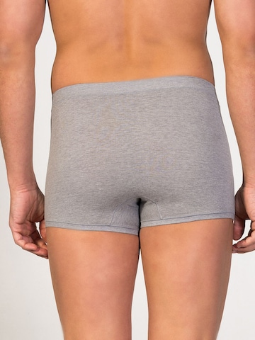 zd ZERO DEFECTS Boxer shorts 'Ikaria Trunk' in Grey