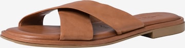 TAMARIS Mules in Brown: front