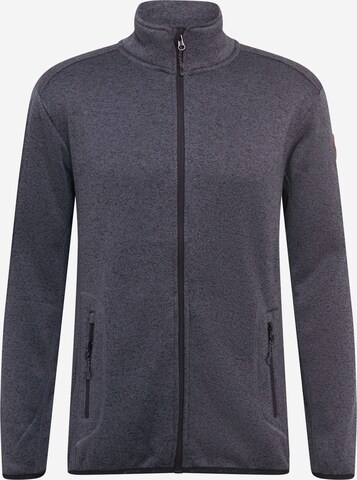 Veste en polaire Whistler en gris : devant