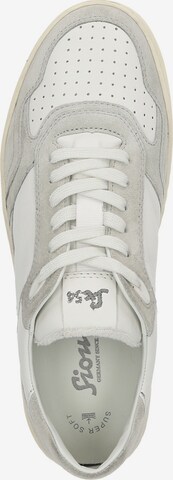 SIOUX Sneakers 'Tedroso-704' in Grey