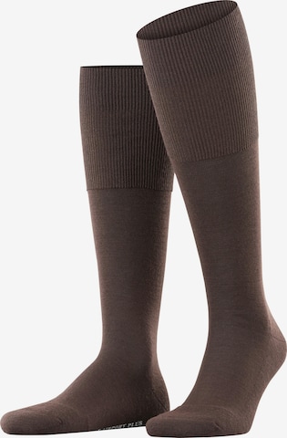FALKE Knee High Socks 'Airport Plus' in Brown: front