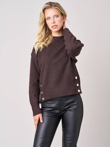 Deeluxe Sweater in Brown