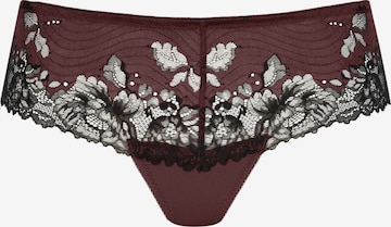 Culotte ' Serie Luxurious ' Mey en marron : devant