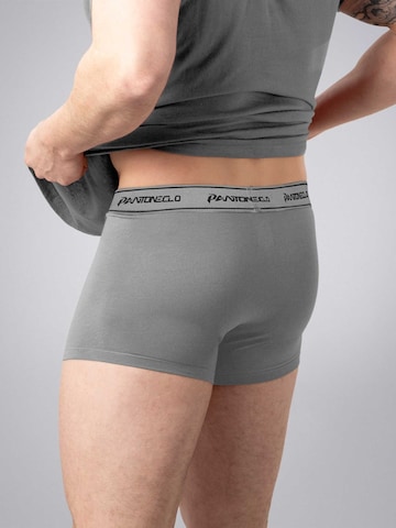 PANTONECLO - Calzoncillo boxer 'Pantoneclo Men’s Boxer Underwear' en gris