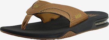 REEF Beach & Pool Shoes 'Fanning' in Brown: front