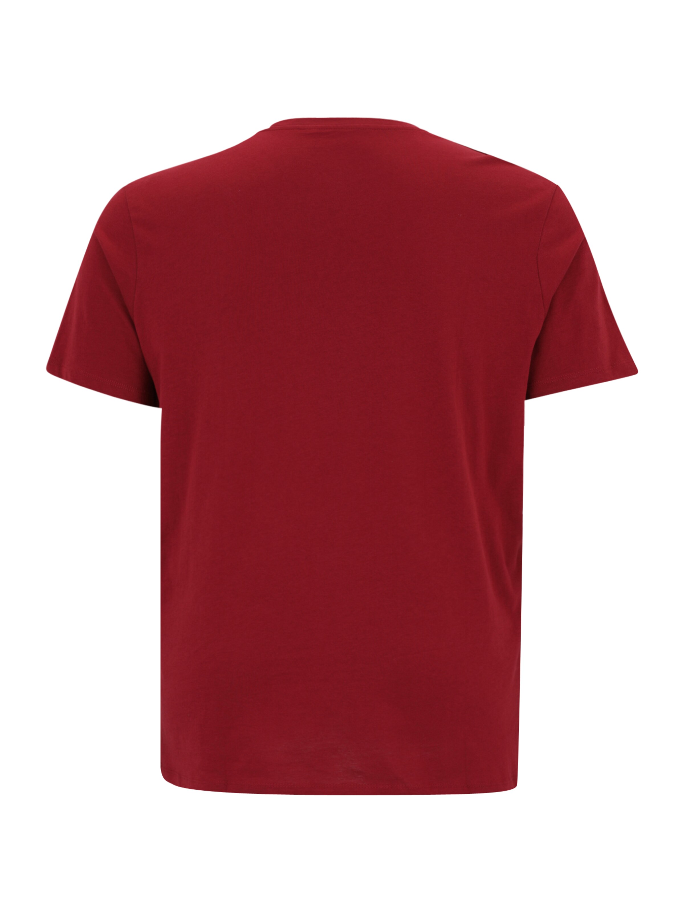 Jack & Jones Plus T-Shirt 'JORINWOOD' in Beige