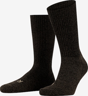 FALKE Socks 'Walkie Ergo' in Brown: front