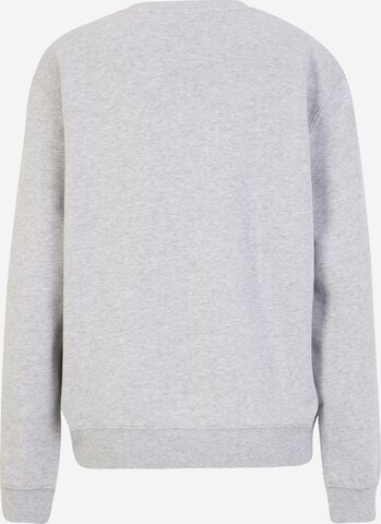 BJÖRN BORG Sports sweatshirt 'CENTRE' in Grey