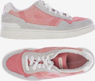 LACOSTE Sneakers & Trainers in 40 in Pink: front