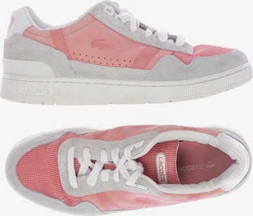 LACOSTE Sneakers & Trainers in 40 in Pink: front