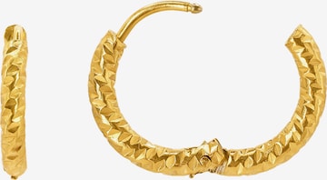 Heideman Earring 'Fabio' in Gold