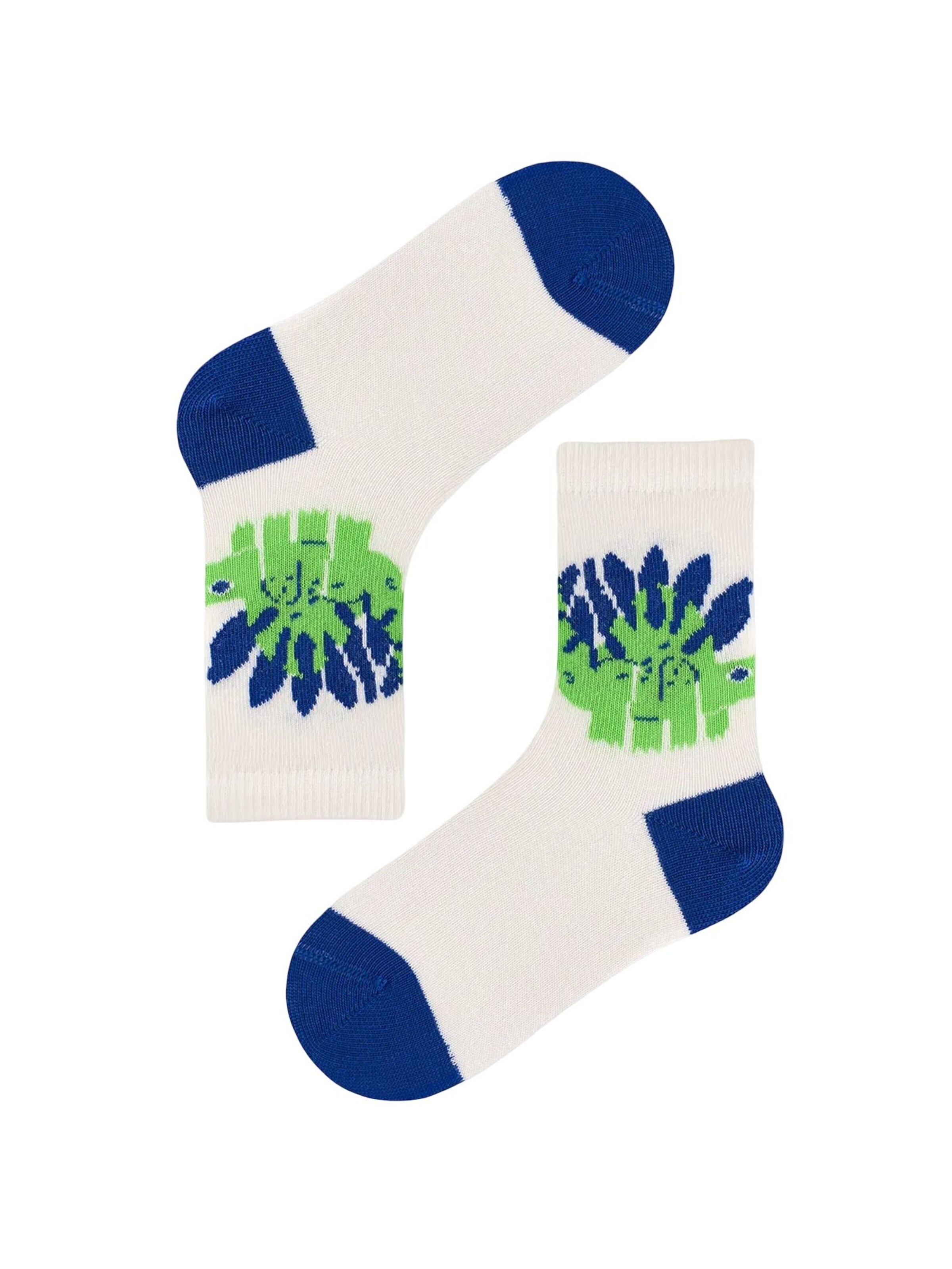 Penti Socken 'PENTI 4er-Pack Jungen Crew-Socken mit Drachen-Dinosaurier-Muster'‌‌‌‌‌‌‌‌‌‌ in Mischfarben
