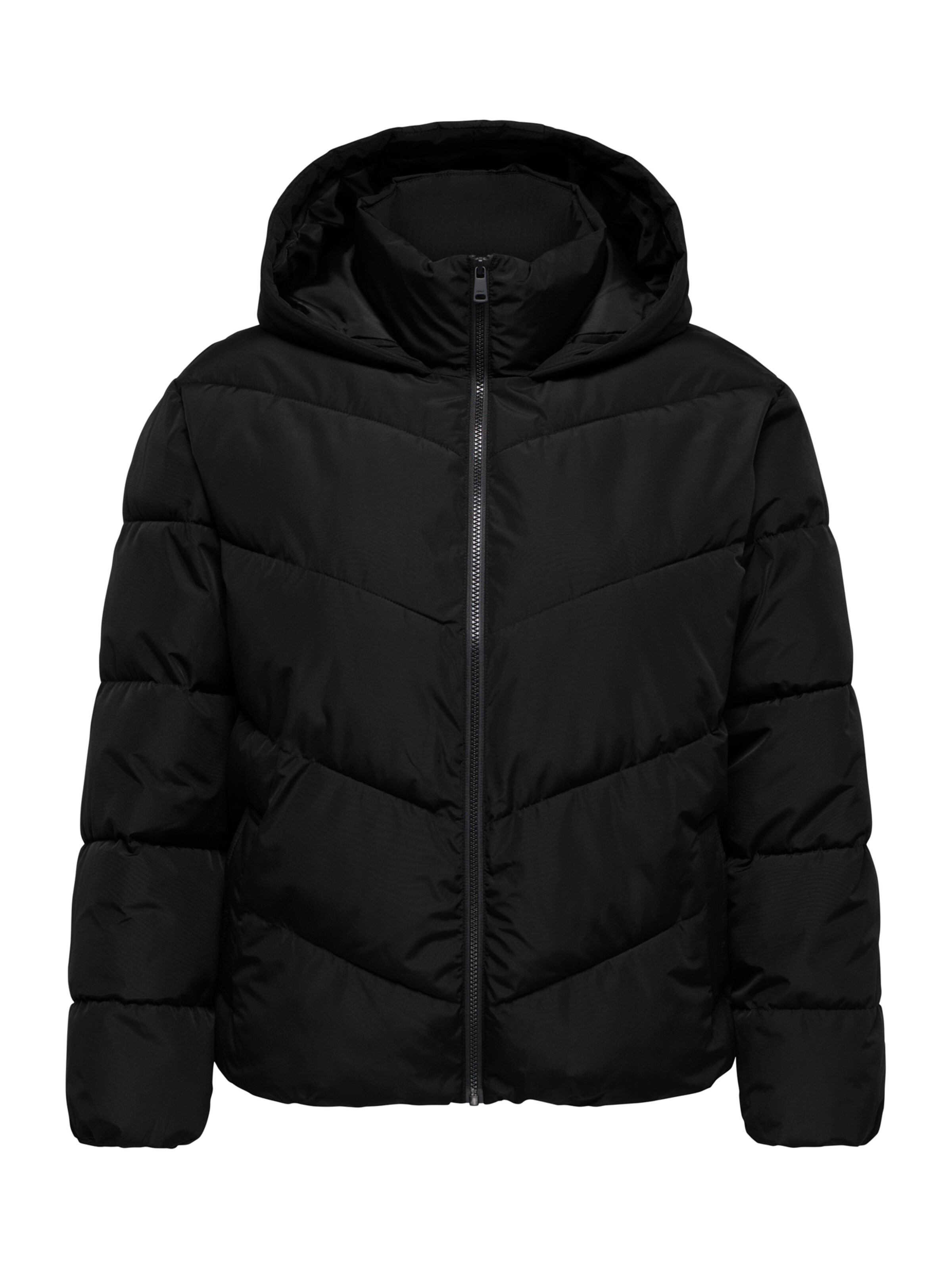 Veste mi-saison 'CARCLAIR' ONLY Carmakoma en noir : devant