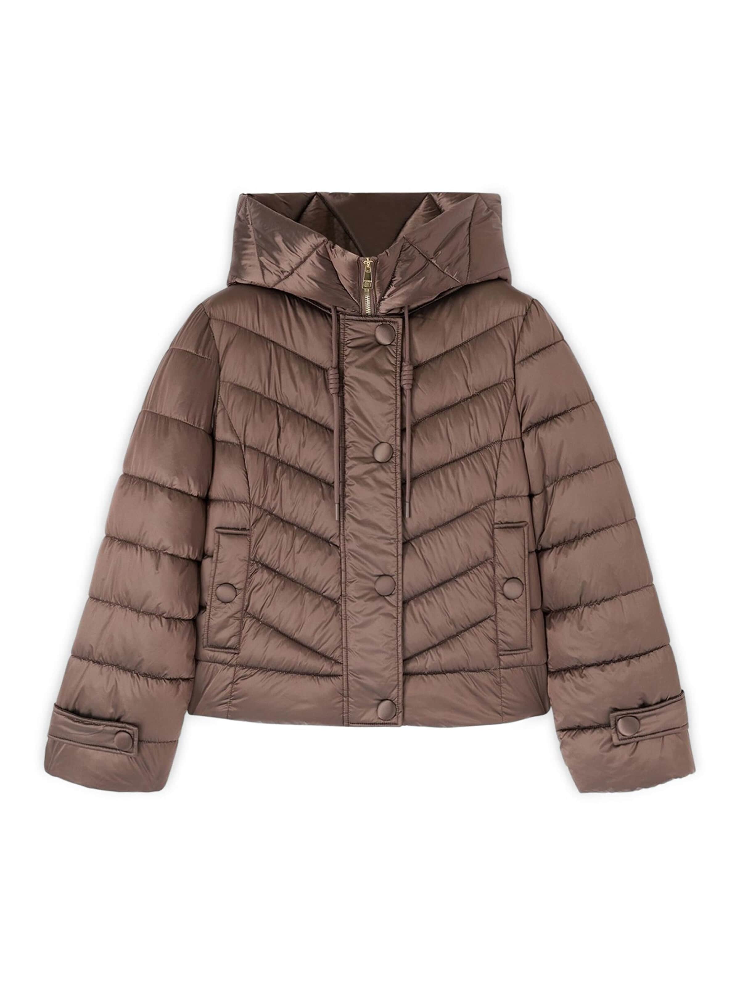 Veste d’hiver MOTIVI en marron : devant