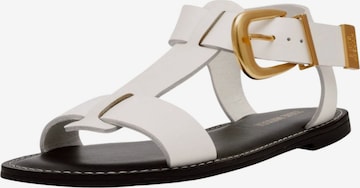 STEVE MADDEN Sandal in White: front