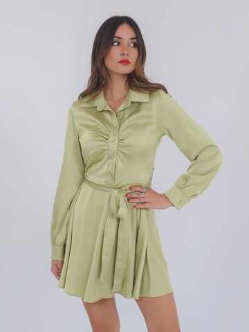 FRESHLIONS Shirt Dress 'Linnea' in Green: front