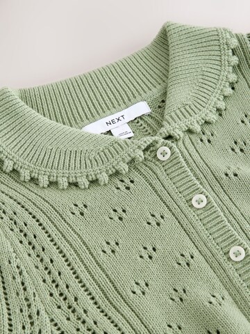 Next Gebreid vest in Groen