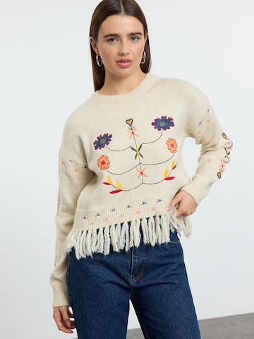 Pull-over Trendyol en beige : devant