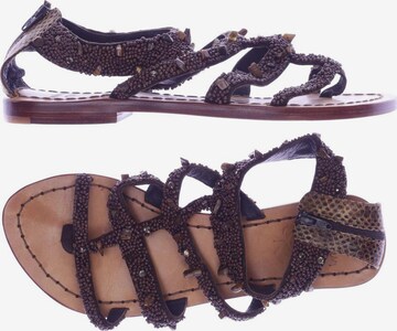 Maliparmi Sandalen 36 in Braun: predná strana