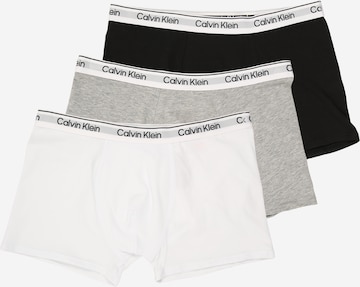 pilka Calvin Klein Underwear Apatinės kelnaitės: priekis
