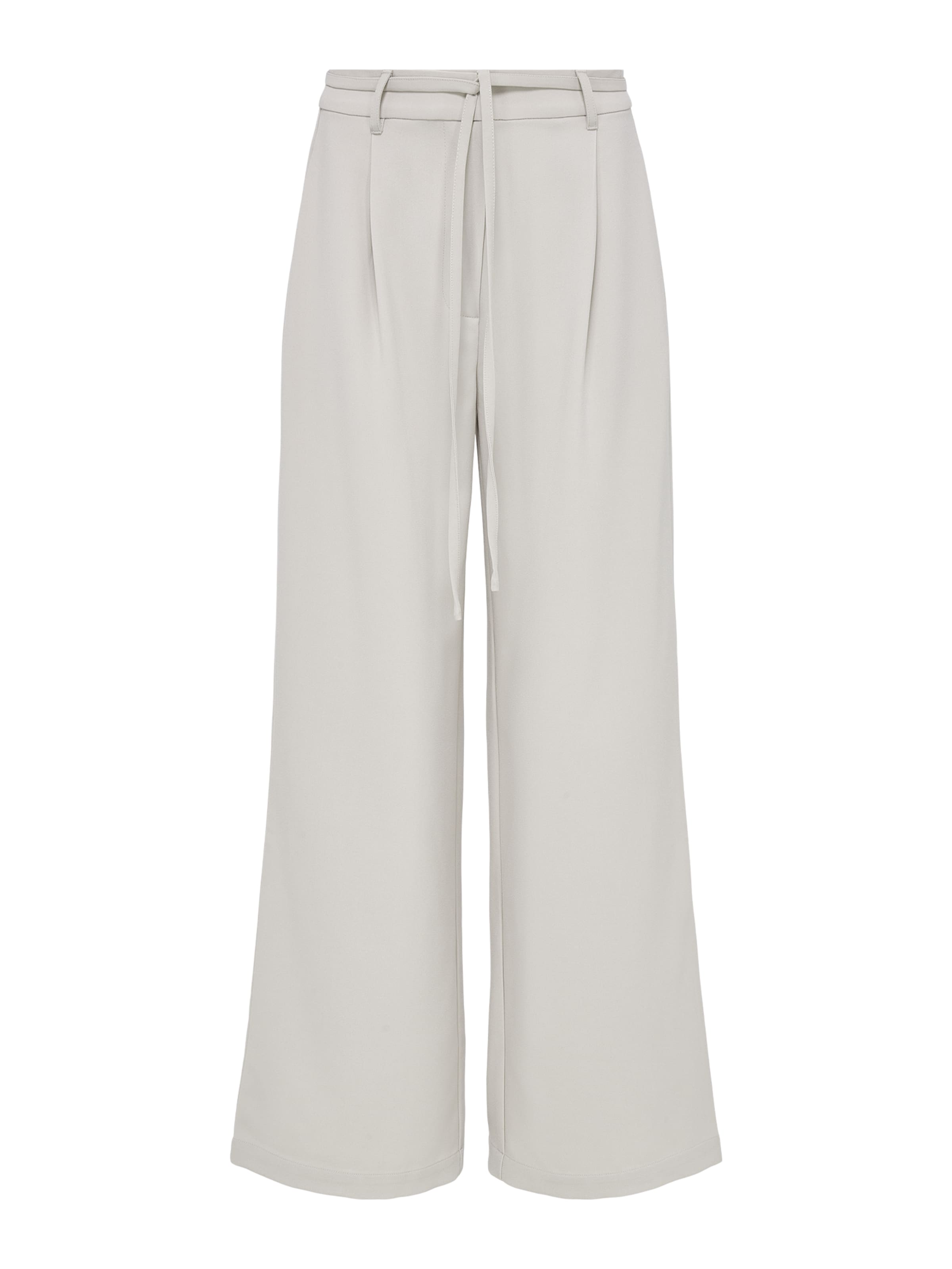 LeGer by Lena Gercke Pantalon à pince en gris clair, Vue avec produit