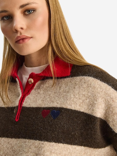 Bianco Lucci Pullover em XS-XL em castanho, Vista do artigo