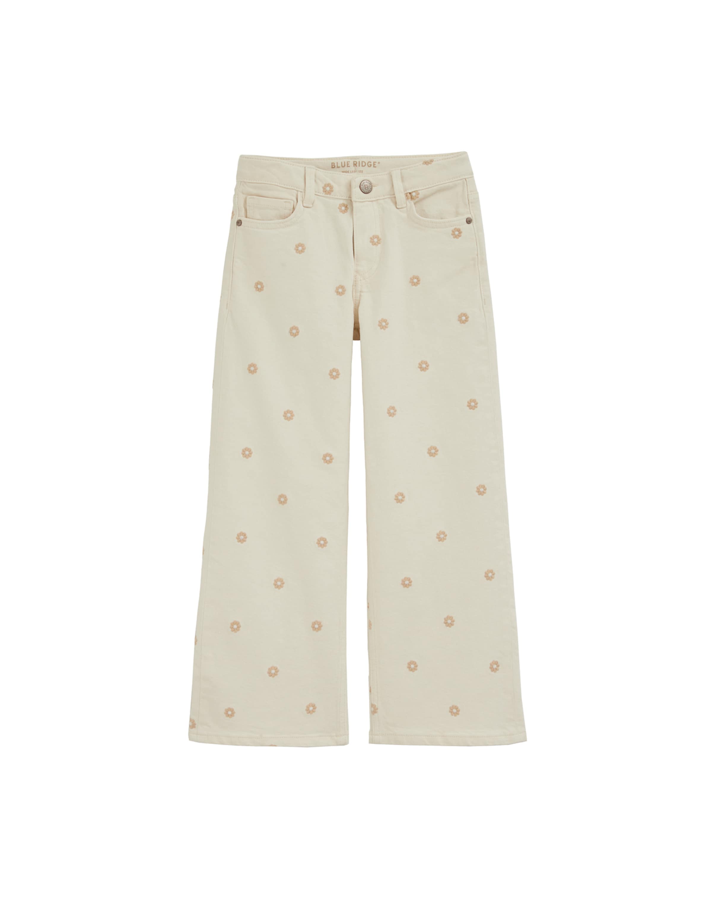 Wide Leg Jean WE Fashion en beige : devant